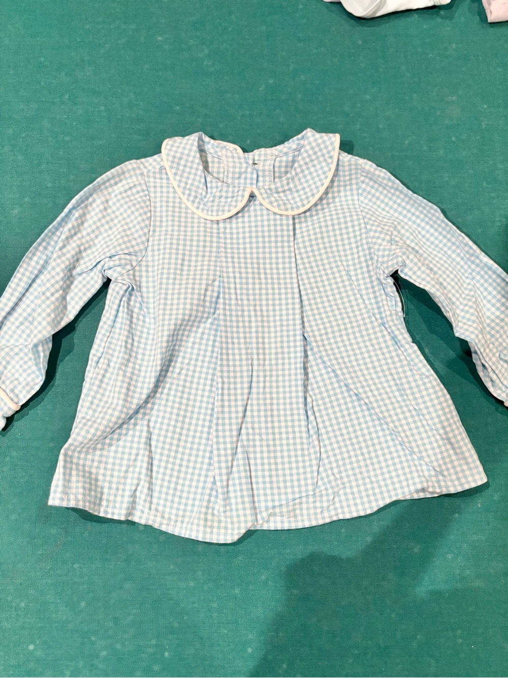 Willow TRUNK Blue Gingham Peter Pan Collar Top